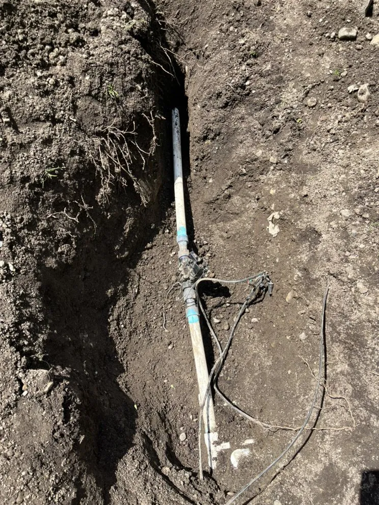 Top-rated landscape design in Bellevue, WA - R&P Landscaping Maintenance General Cleaning Irrigation