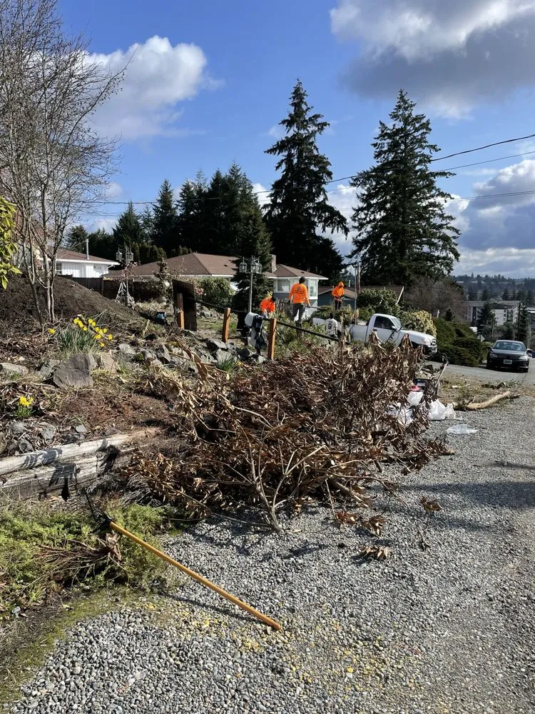 Top-rated residential landscaping in Bellevue, WA - R&P Landscaping Maintenance General Cleaning Irrigation