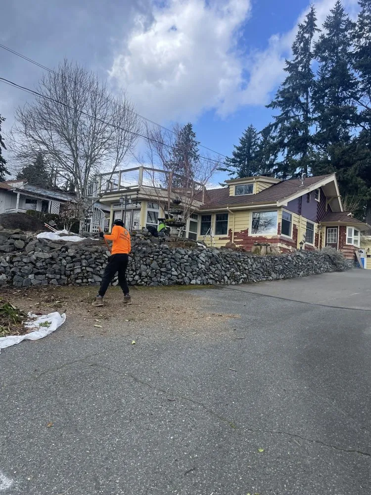 Reliable lawn care service experts serving Bellevue, WA - R&P Landscaping Maintenance General Cleaning Irrigation