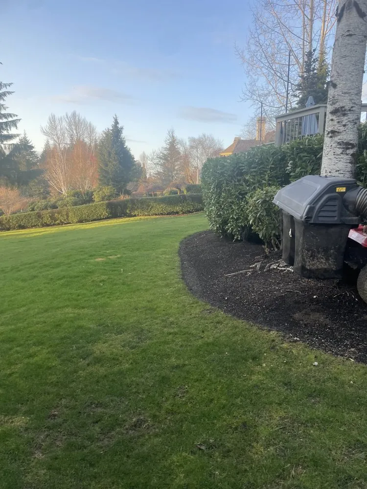Trusted yard maintenance in Bellevue, WA - R&P Landscaping Maintenance General Cleaning Irrigation