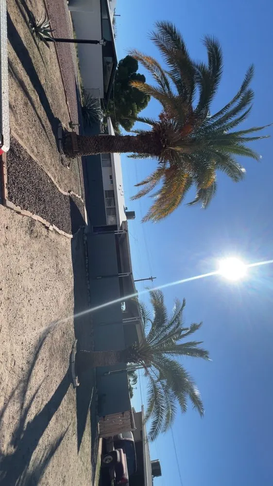 Reliable yard maintenance in Tucson, AZ by R&P Landscaping