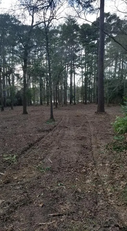 Expert garden landscaping in Hockley, TX by RP Landworks