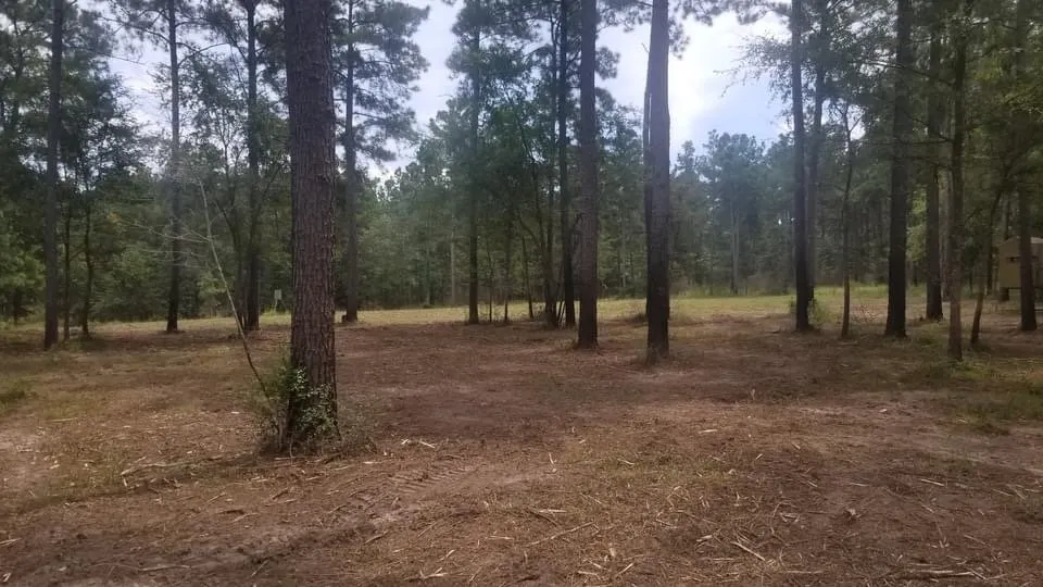 Top-rated landscape installation in Hockley, TX - RP Landworks
