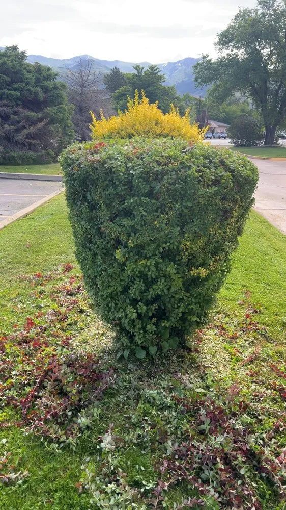 Custom outdoor landscaping experts serving Ogden, UT - R&P Lawn Care