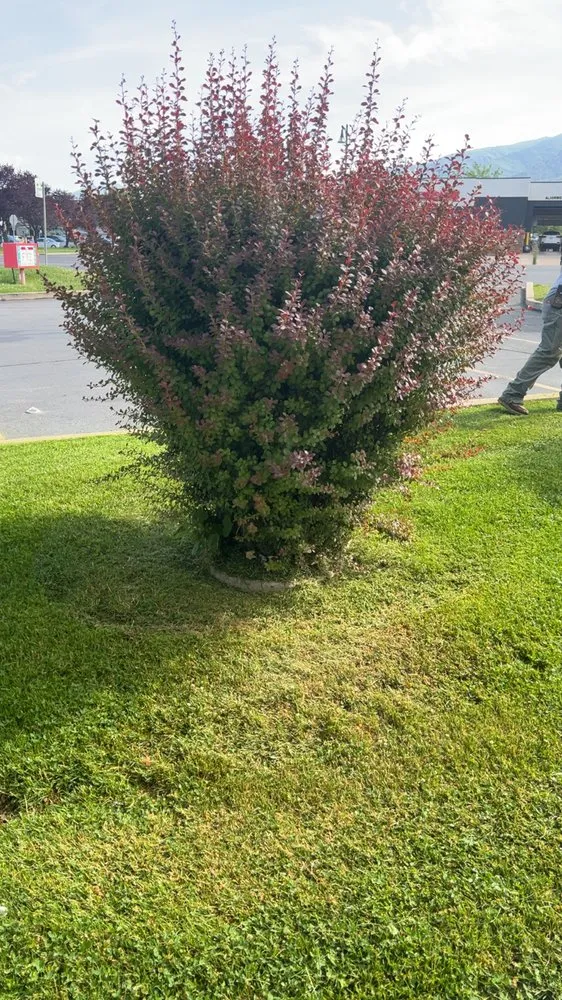 Custom outdoor landscaping in Ogden, UT - R&P Lawn Care