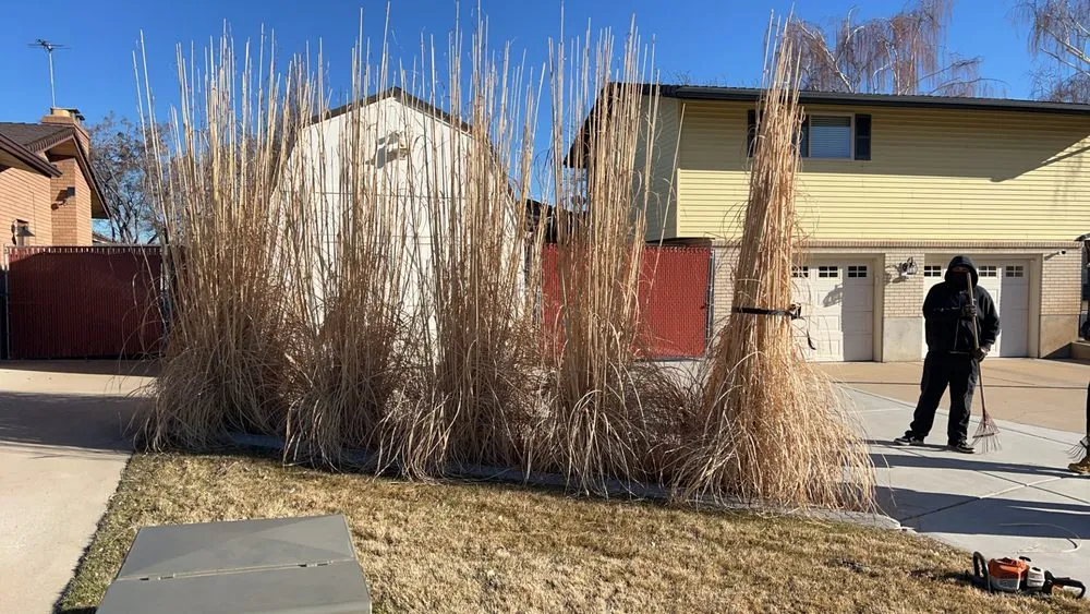 Expert lawn mowing service in Ogden, UT by R&P Lawn Care