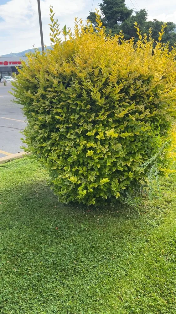 Custom residential landscaping experts serving Ogden, UT - R&P Lawn Care