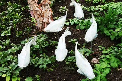 Affordable lawn mowing service near you across Kennett Square, PA - RP Nurseries