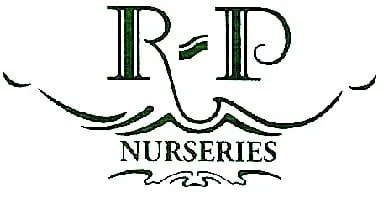 Local yard cleanup service in Kennett Square, PA by RP Nurseries