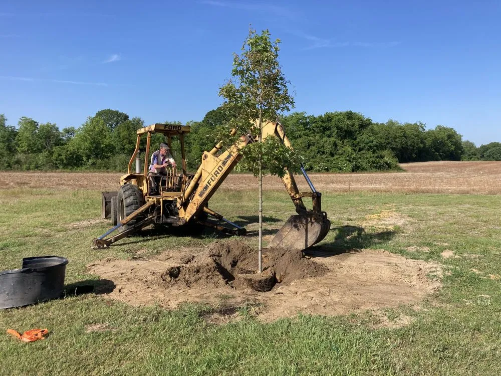 Local garden landscaping for residential properties across Coolidge, GA - RP Outdoor Services