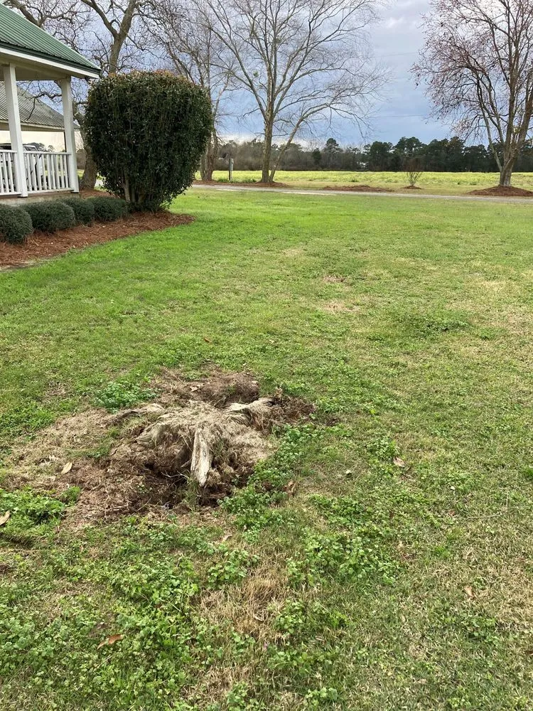 Local yard maintenance experts serving Coolidge, GA - RP Outdoor Services