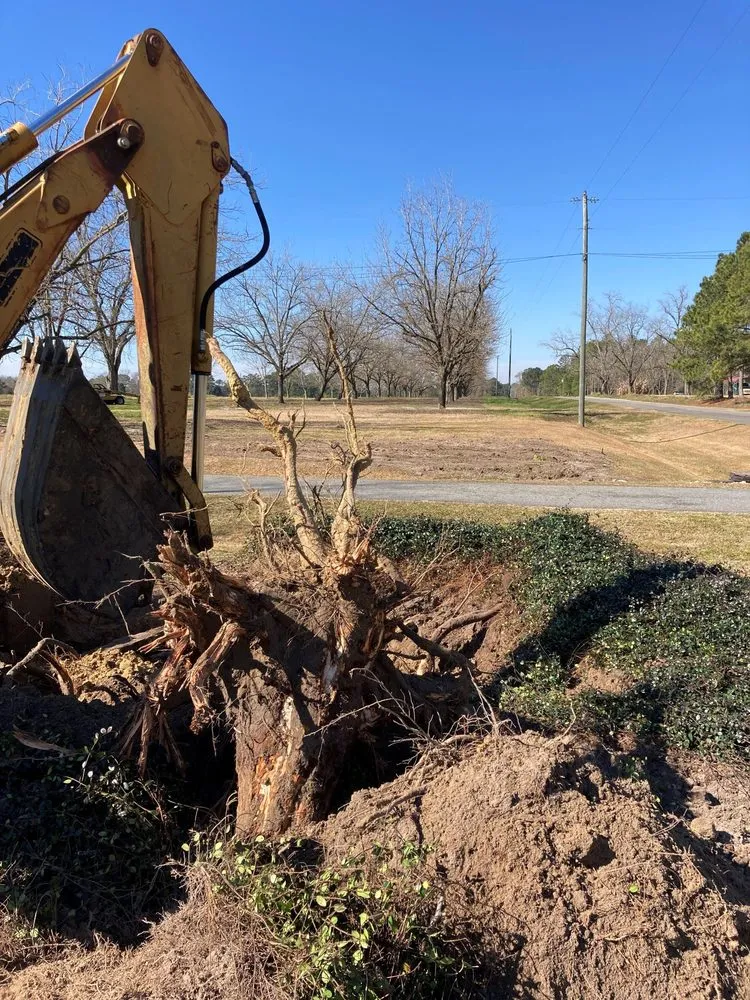 Top-rated yard cleanup service experts serving Coolidge, GA - RP Outdoor Services