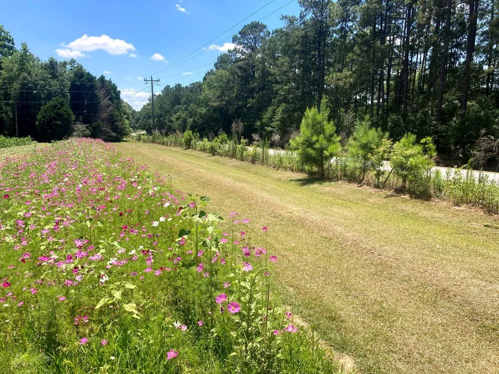 Local landscaping services in Coolidge, GA - RP Outdoor Services