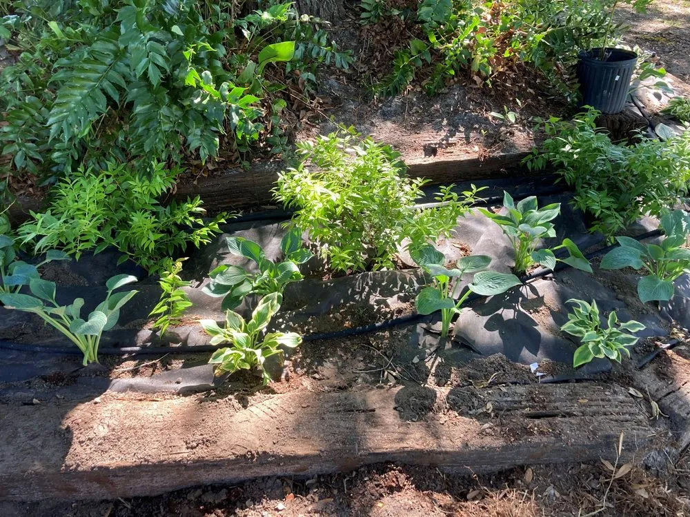 Local landscaping services in Coolidge, GA - RP Outdoor Services