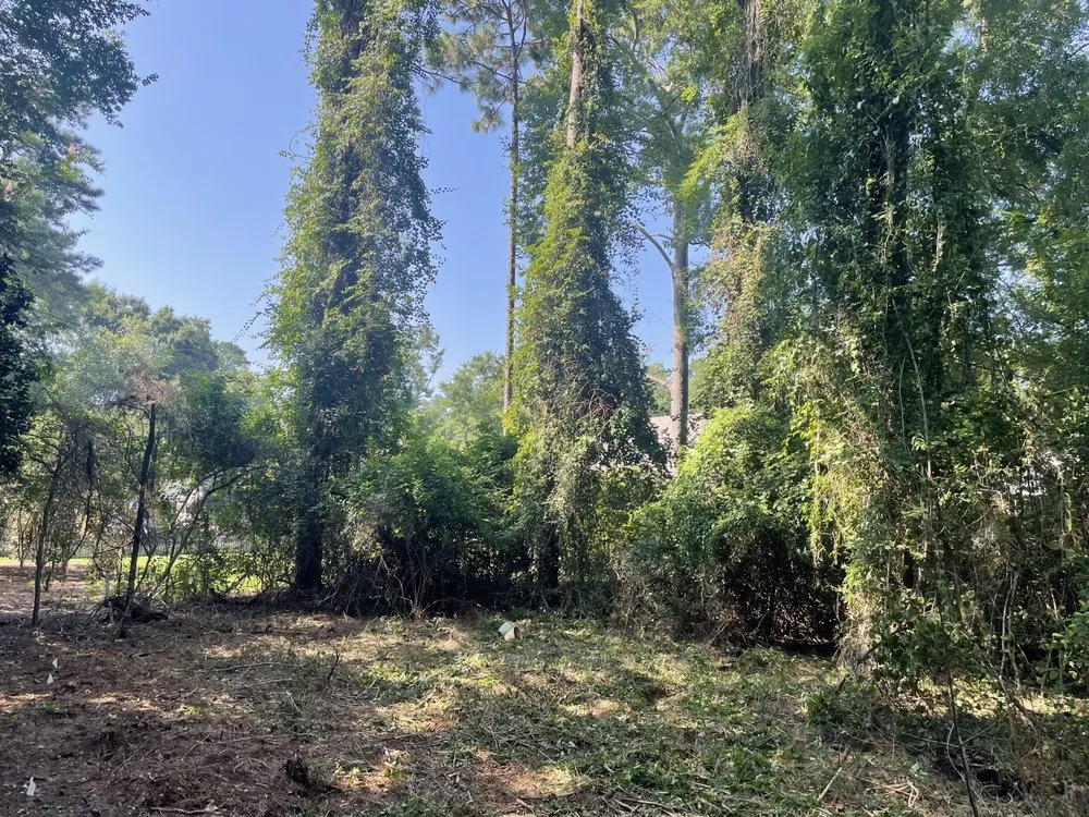 Trusted garden landscaping in Spanish Fort, AL by RP Solutions