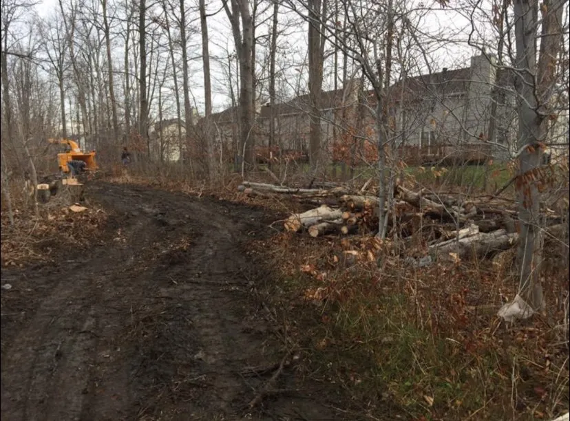 Custom lawn mowing service in Springville, NY by RP Universal