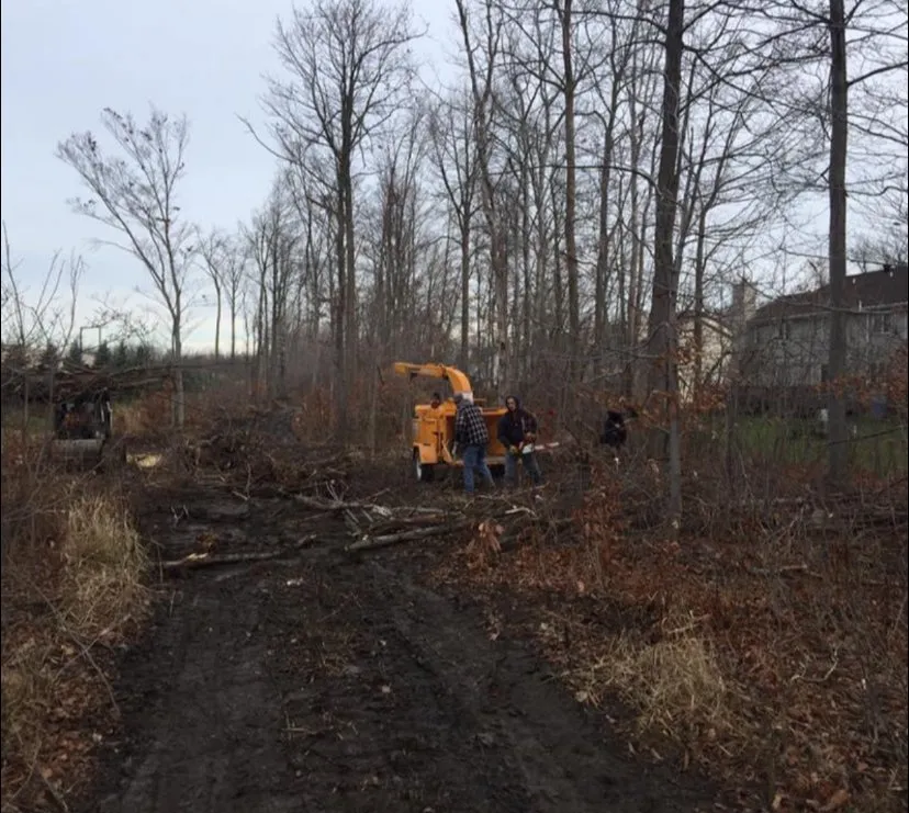 Reliable landscape design experts serving Springville, NY - RP Universal