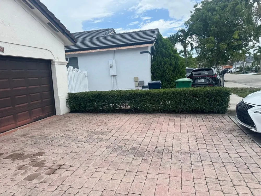 Affordable residential landscaping in Miami, FL by Rápalo Landscaping