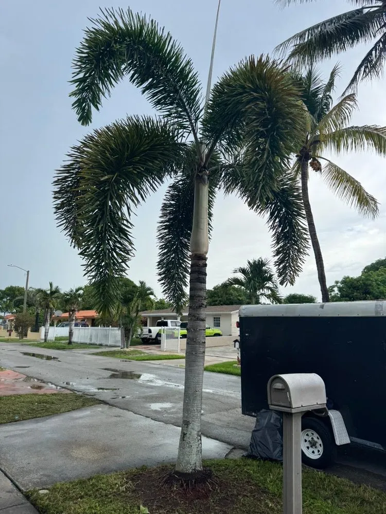 Trusted residential landscaping in Miami, FL by Rápalo Landscaping