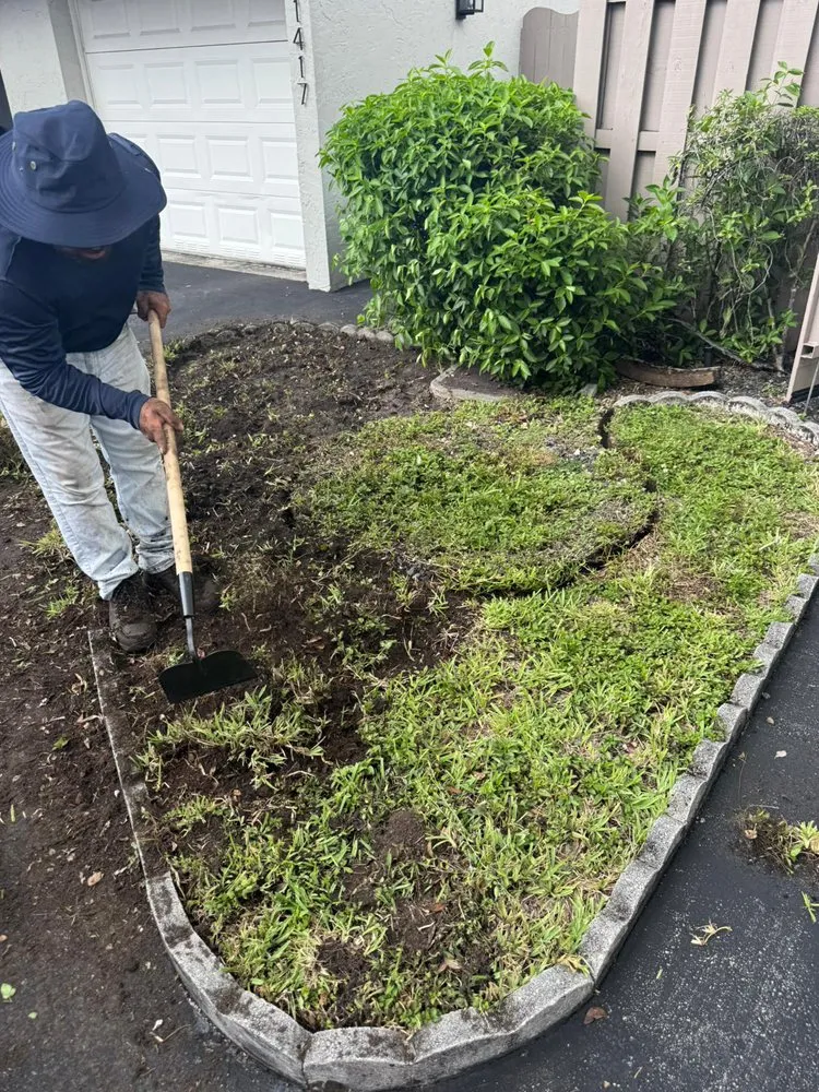 Local yard cleanup service in Miami, FL - Rápalo Landscaping