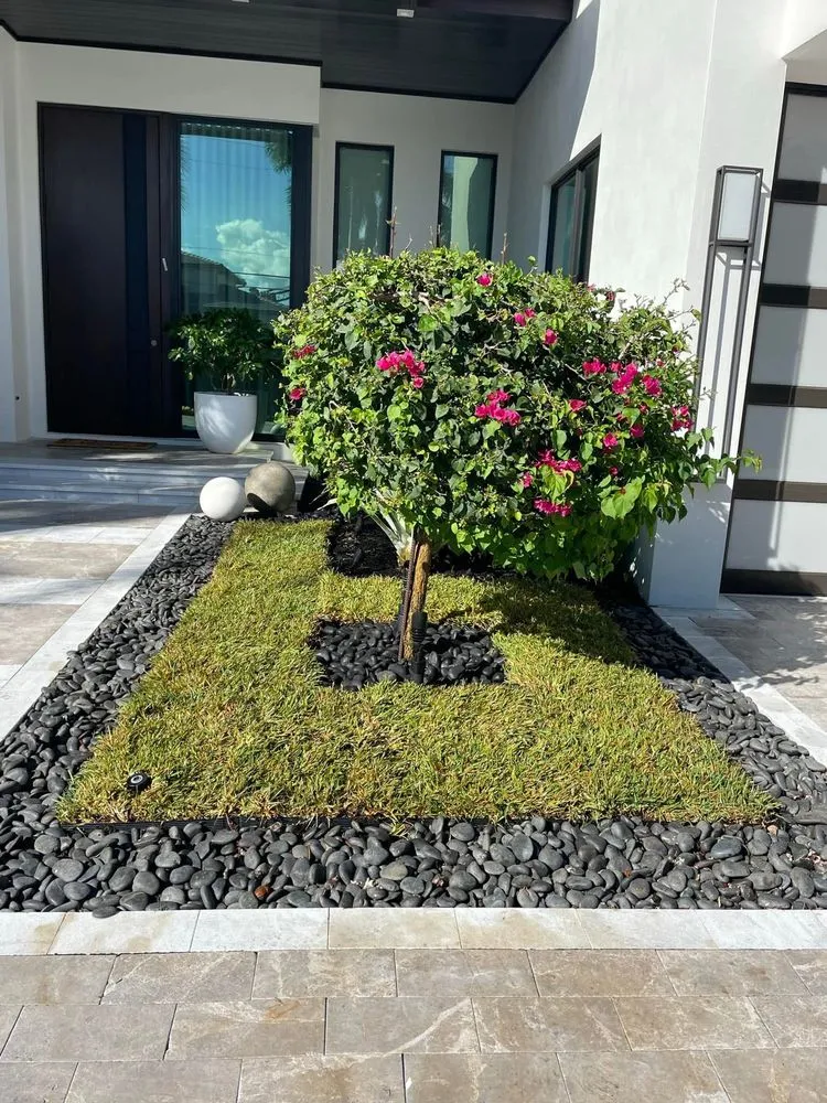 Top-rated landscaping services in Miami, FL - Rápalo Landscaping