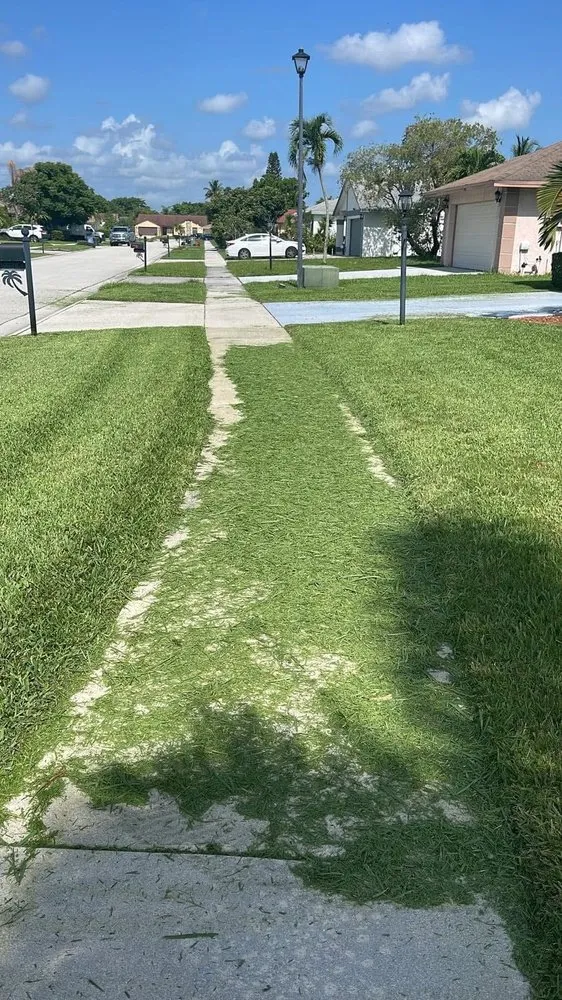 Reliable residential landscaping for residential properties across Miami, FL - Rápalo Landscaping