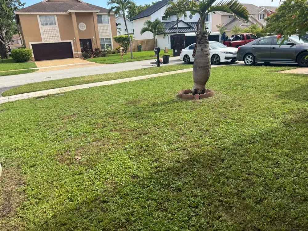 Professional lawn care service in Miami, FL - Rápalo Landscaping