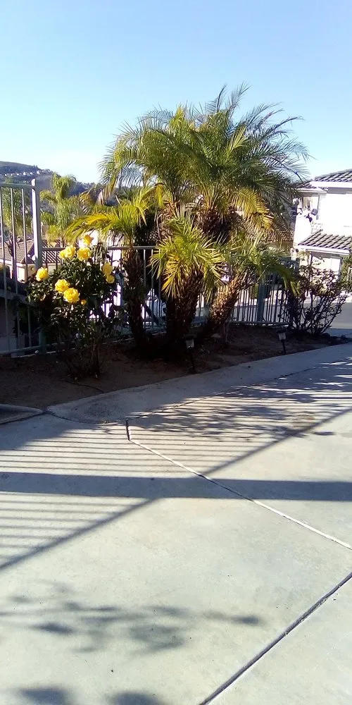 Custom lawn care service experts serving National City, CA - Rpdlandservice