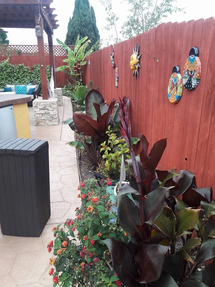 Affordable residential landscaping for year-round maintenance in National City, CA by Rpdlandservice