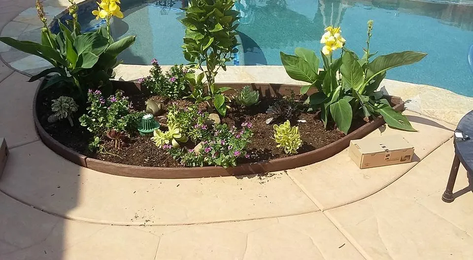 Top-rated landscape installation for homes across National City, CA - Rpdlandservice