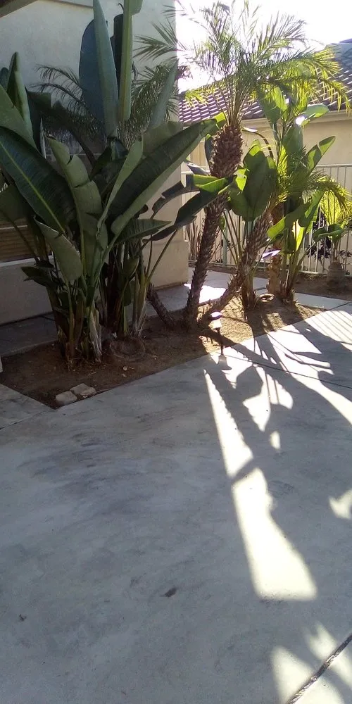 Expert outdoor landscaping in National City, CA - Rpdlandservice