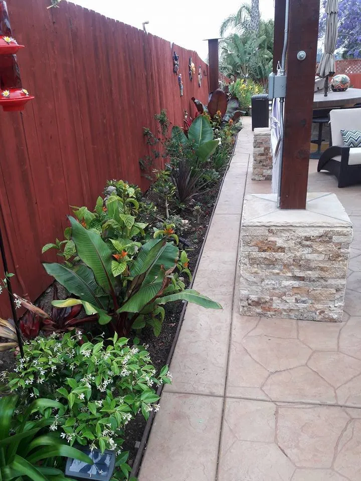 Top-rated residential landscaping experts serving National City, CA - Rpdlandservice