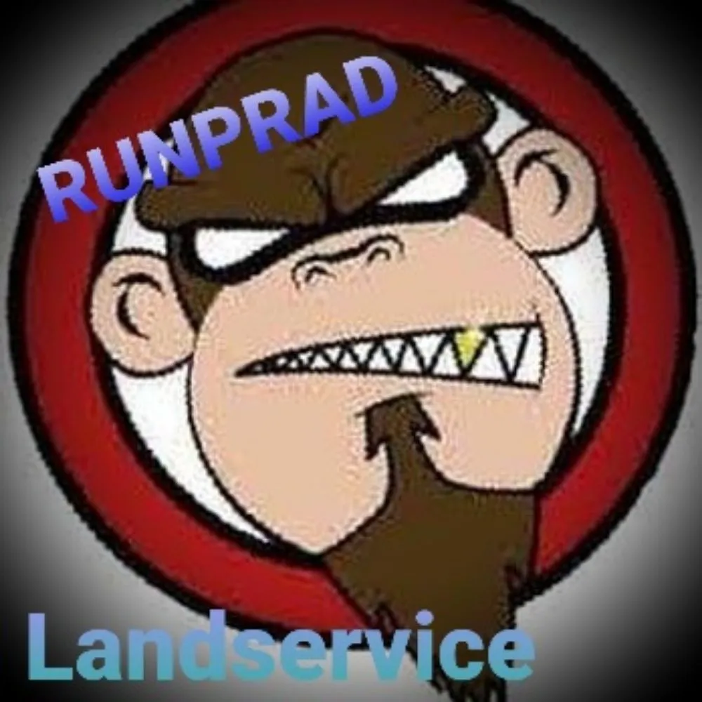 Expert lawn mowing service in National City, CA by Rpdlandservice