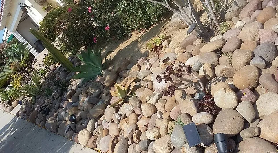 Custom landscaping services experts serving National City, CA - Rpdlandservice