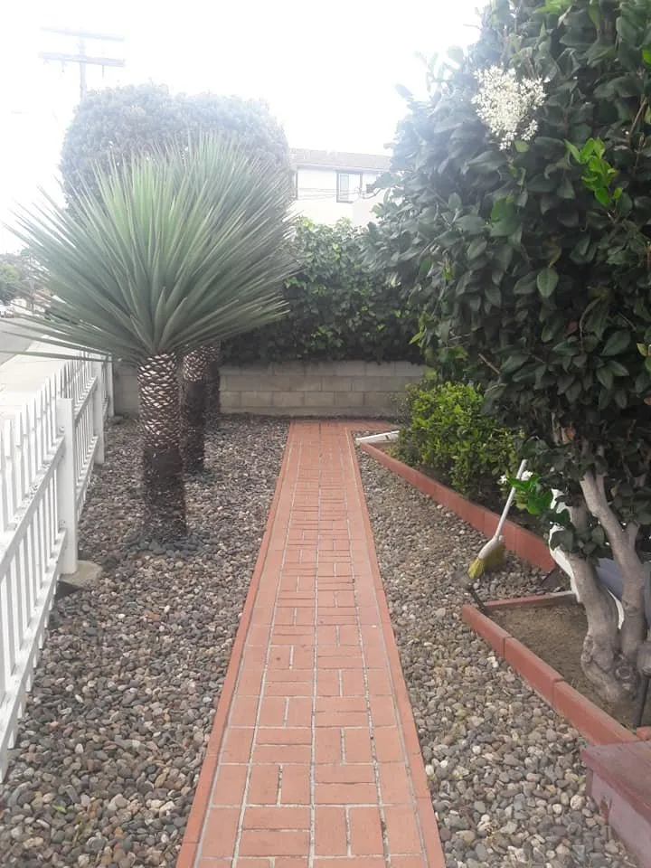Top-rated yard cleanup service experts serving National City, CA - Rpdlandservice