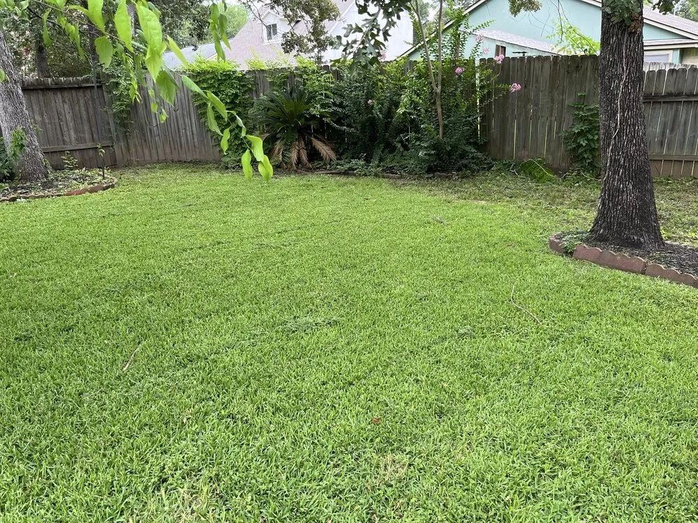 Expert landscape design for year-round maintenance in Willis, TX by RPG Power Washing