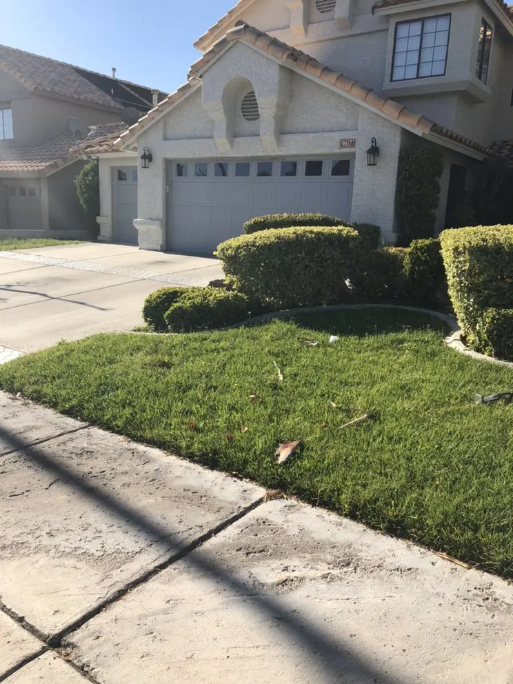 Affordable landscaping services in Las Vegas, NV - Rpg’s Landscape