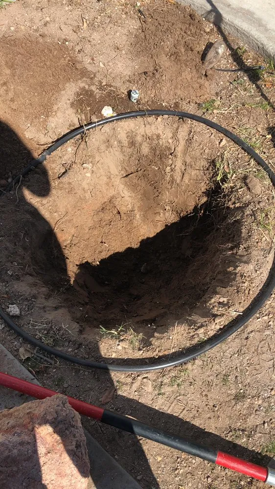 Local yard maintenance experts serving Las Vegas, NV - Rpg’s Landscape