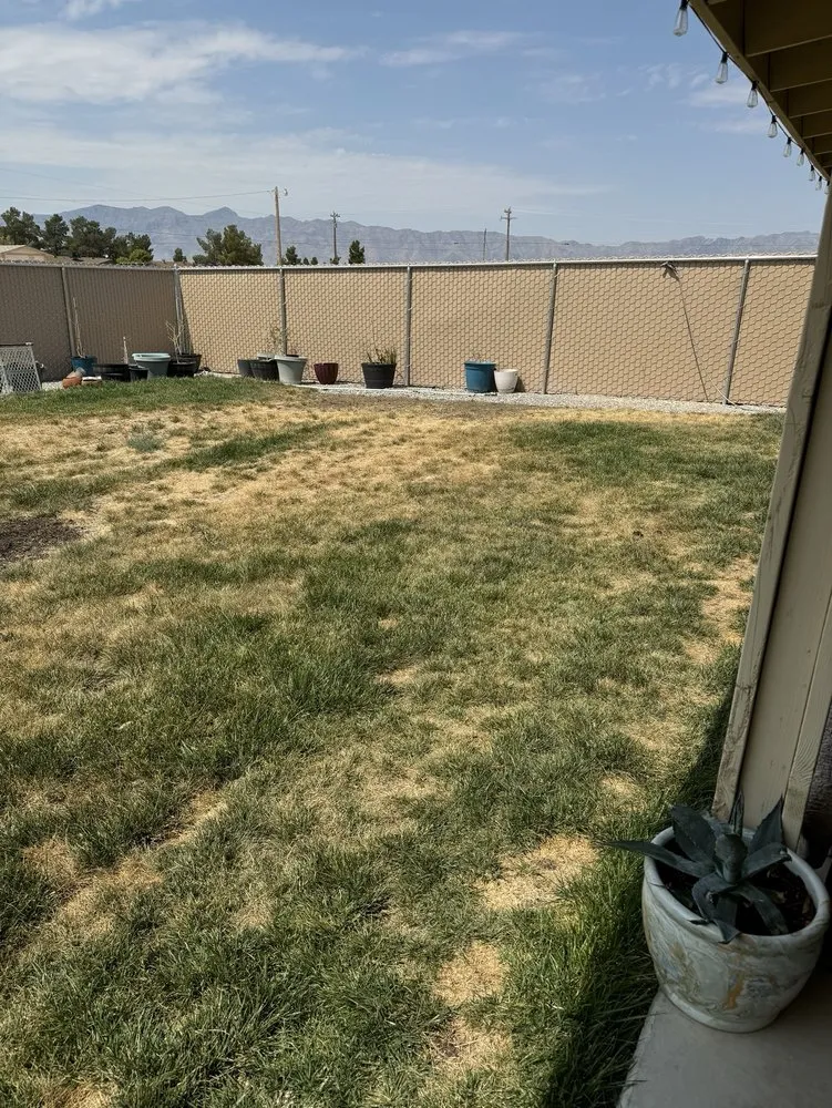 Top-rated lawn mowing service in Las Vegas, NV - Rpg’s Landscape