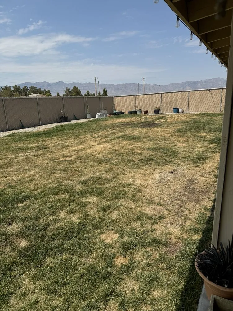 Professional garden landscaping for residential properties across Las Vegas, NV - Rpg’s Landscape