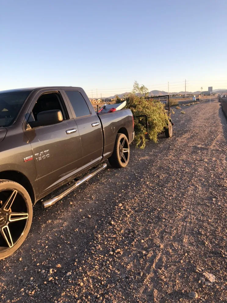 Professional yard cleanup service for beautiful yards across Las Vegas, NV - Rpg’s Landscape