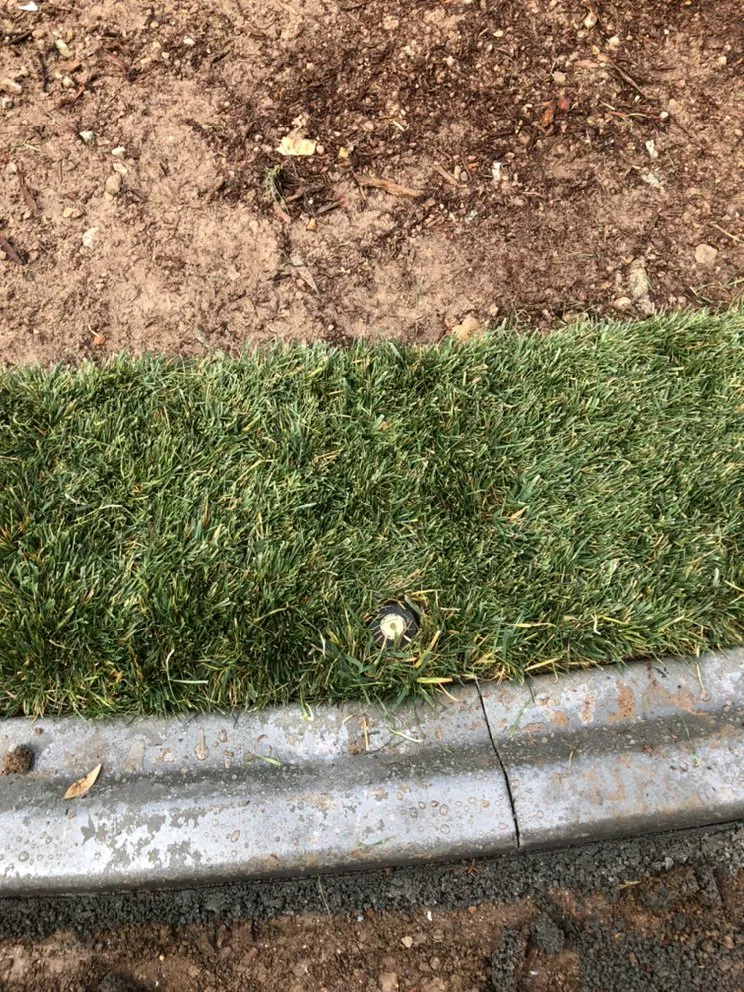 Expert residential landscaping in Las Vegas, NV - Rpg’s Landscape