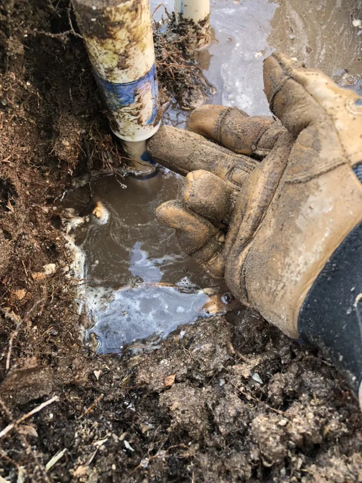 Expert landscape design in Las Vegas, NV by Rpg’s Landscape