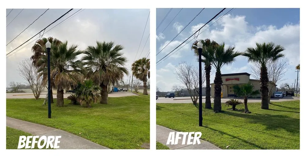 Trusted landscaping services in Lake Jackson, TX by RPH Lawn Service