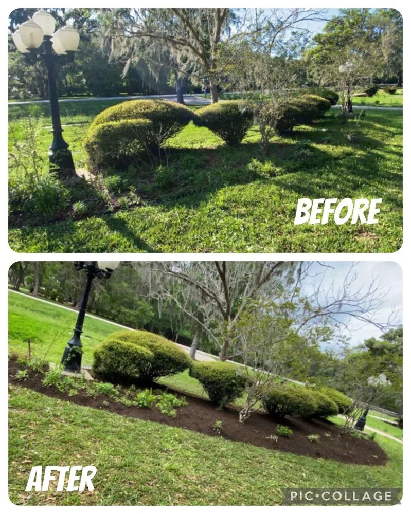 Reliable yard cleanup service near you in Lake Jackson, TX by RPH Lawn Service