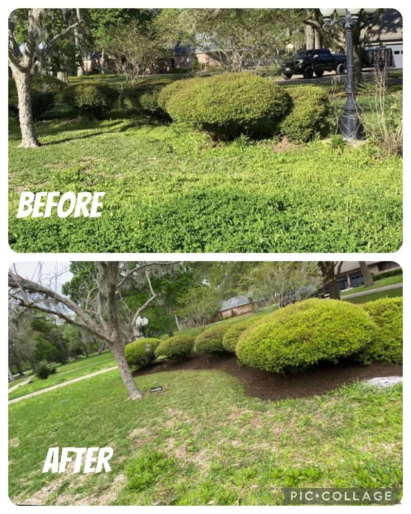 Custom yard cleanup service for beautiful yards across Lake Jackson, TX - RPH Lawn Service