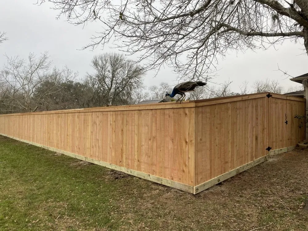 Professional lawn care service in Lake Jackson, TX by RPH Lawn Service