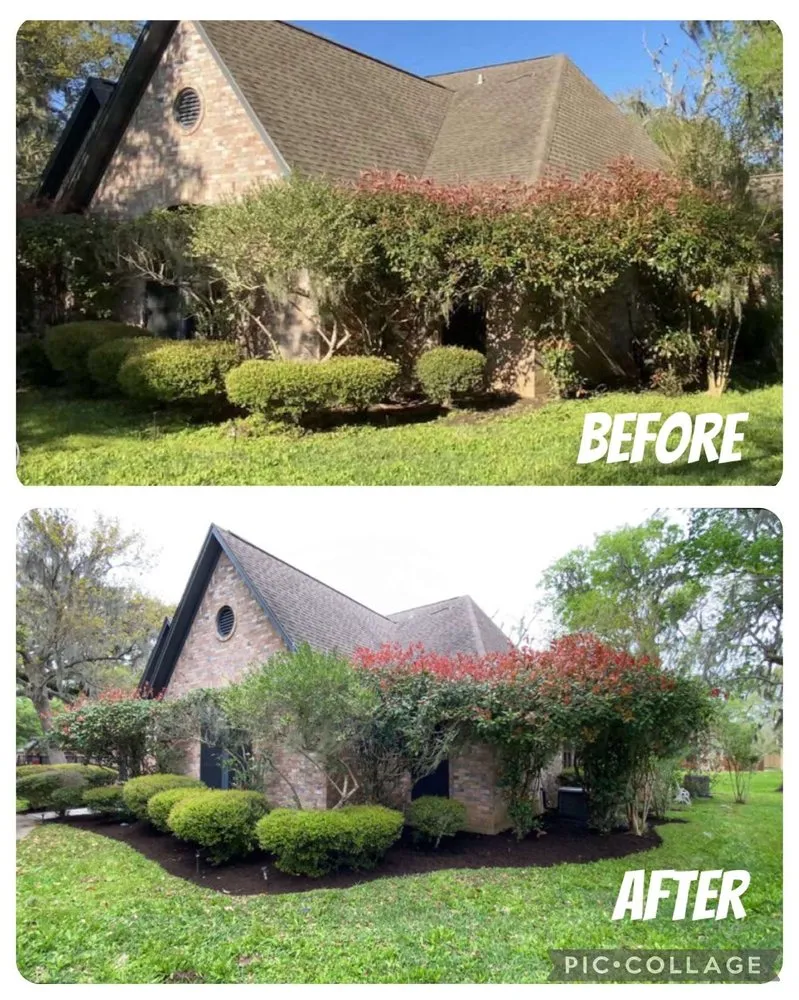 Reliable yard cleanup service in Lake Jackson, TX - RPH Lawn Service