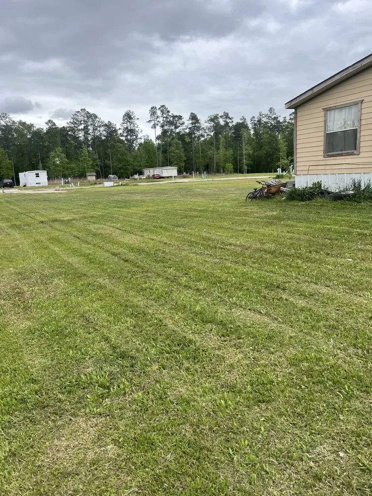 Expert landscaping services in South Houston, TX by RPJ Landscaping