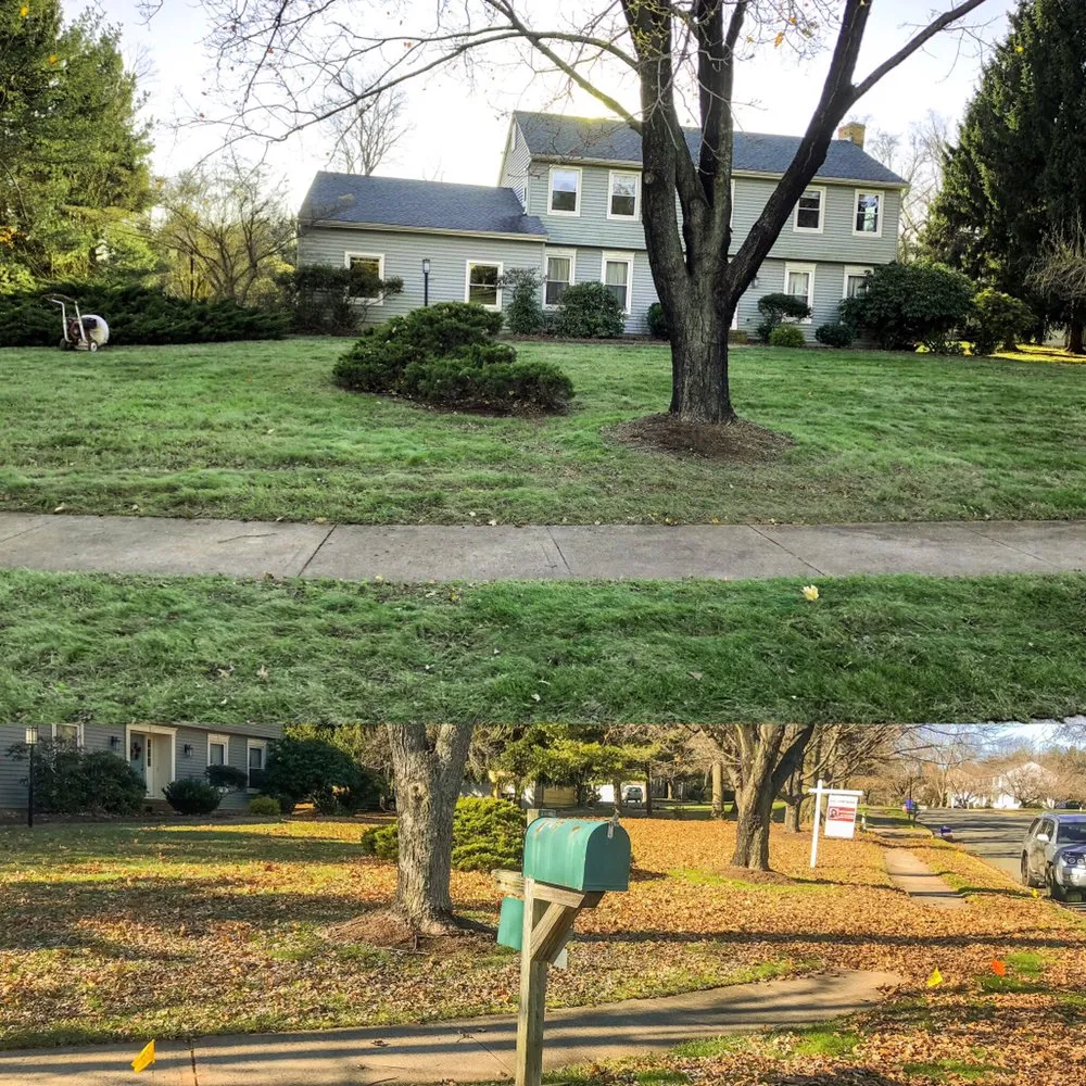 Top-rated yard cleanup service for residential properties in Belle Mead, NJ by RPLawns